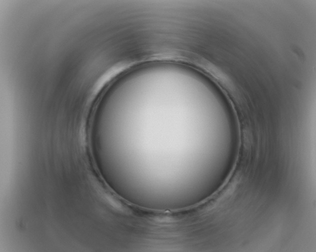 X0000114031230200910091427