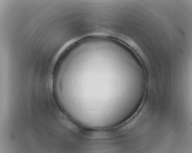 X0000114031232200910091427