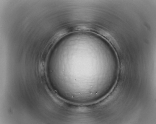 X0000114031233200910091427