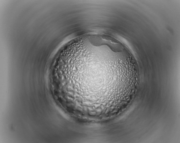 X0000114031235200910091427