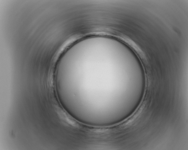 X0000114031240200910091427