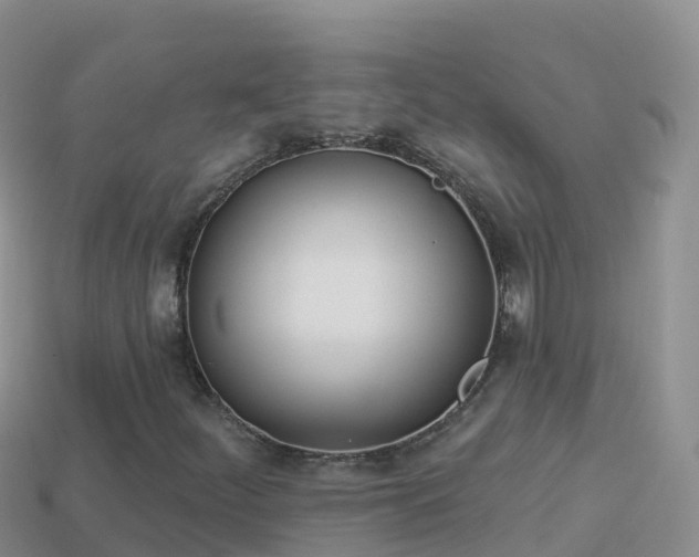 X0000114031252200910091427
