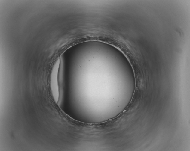 X0000114031253200910091427