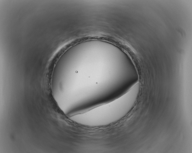 X0000114031256200910091427