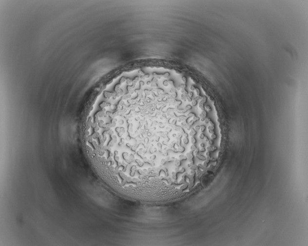 X0000114031258200910091427