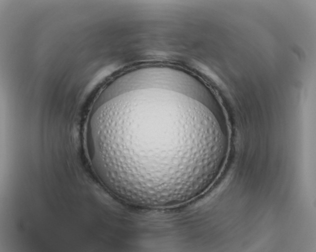 X0000114031259200910091427