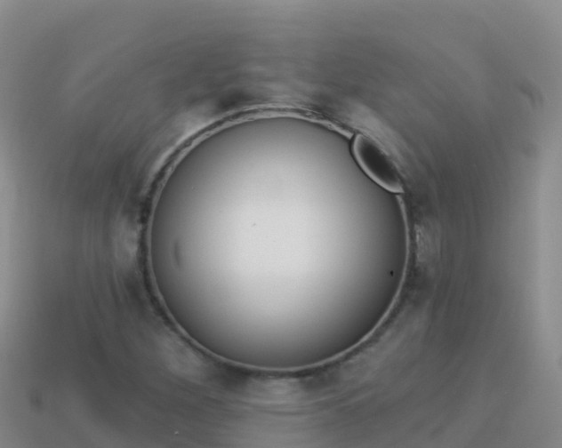 X0000114031260200910091427