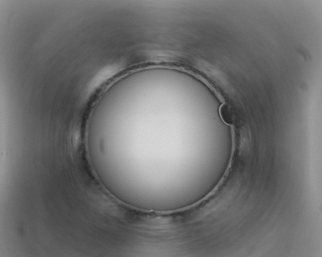 X0000114031261200910091427