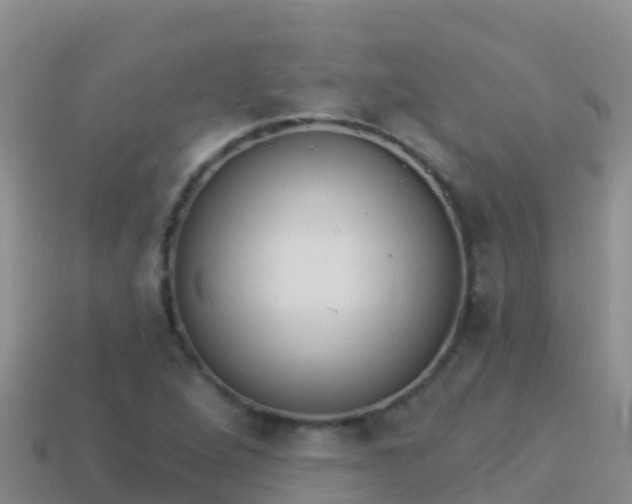 X0000114031264200910091427
