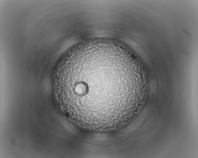 X0000114031266200910091427