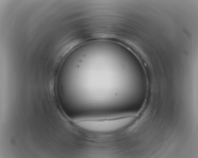 X0000114031273200910091427