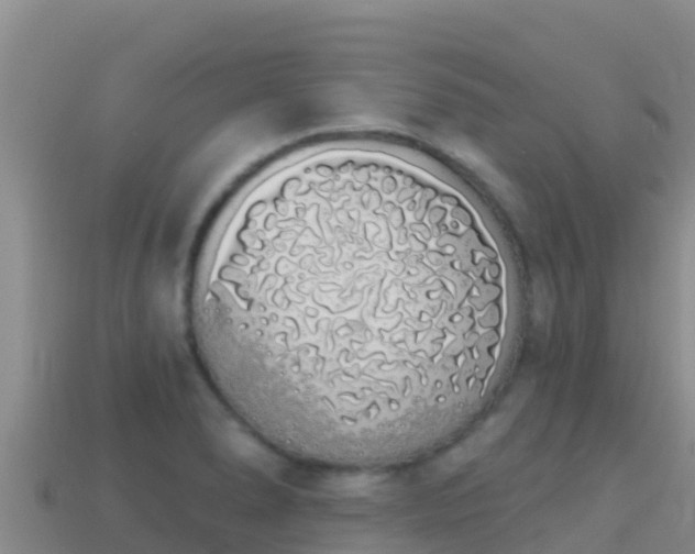 X0000114031278200910091427