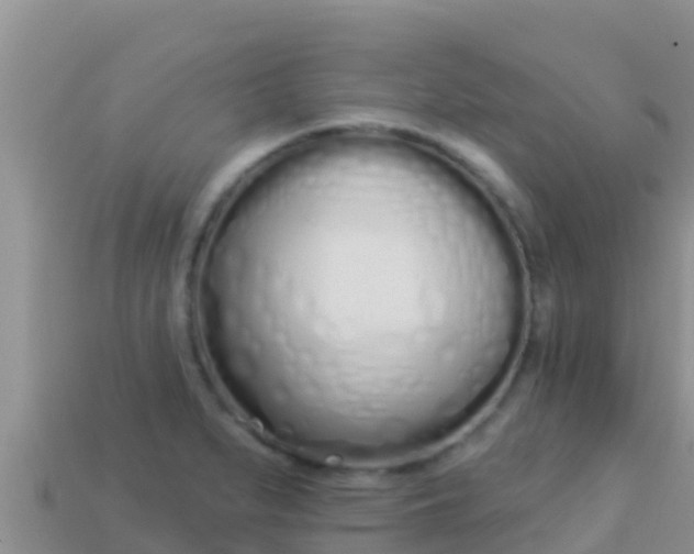 X0000114031279200910091427