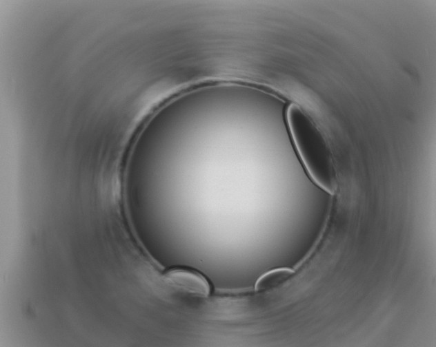 X0000114031280200910091427