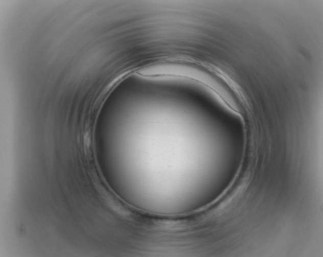 X0000114031281200910091426