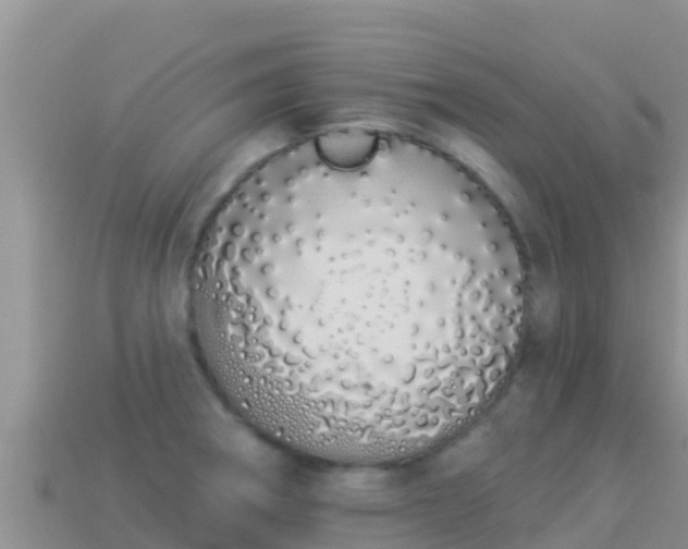 X0000114031282200910091426