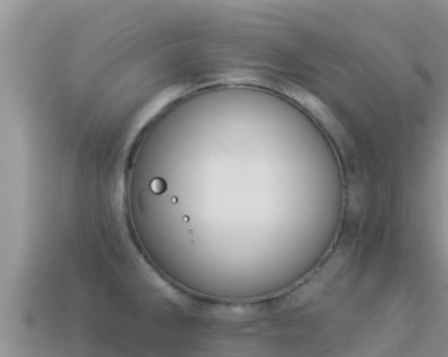 X0000114031286200910091426