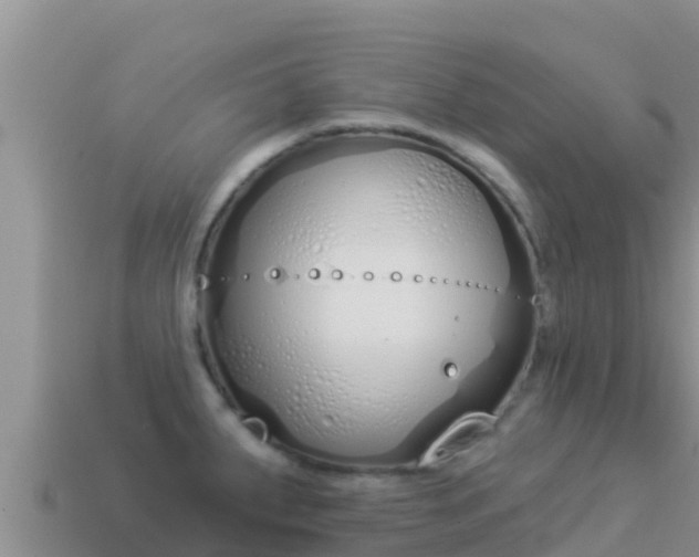 X0000114031287200910091426