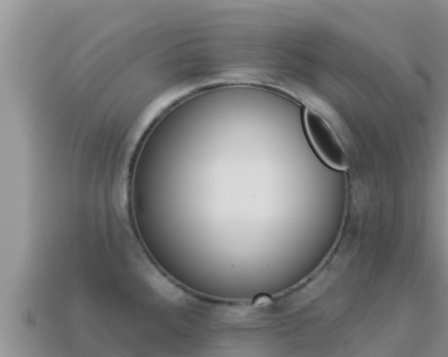 X0000114031288200910091426