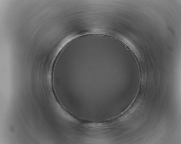 X0000114031291200910091426