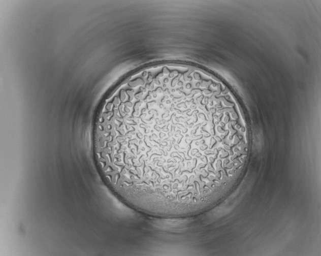 X0000114031294200910091426