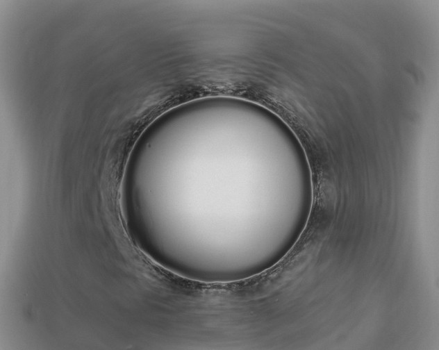 X0000114031297200910091426