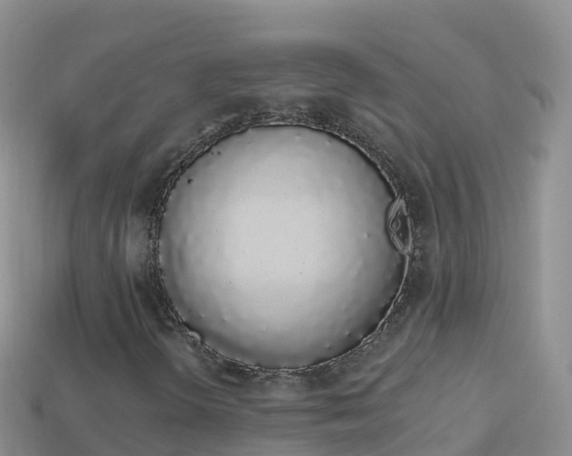X0000114031298200910091426