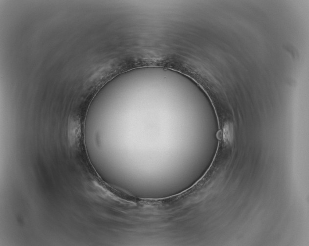 X0000114031299200910091426