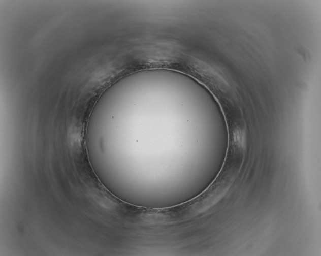 X0000114031300200910091426