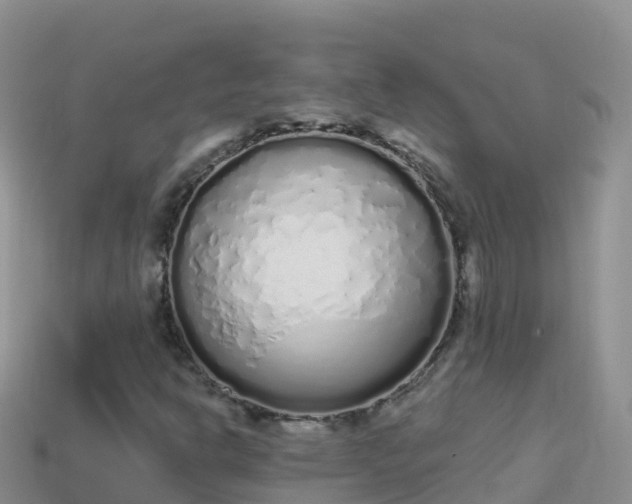 X0000114031302200910091426