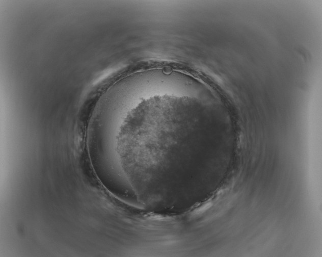 X0000114031303200910091426