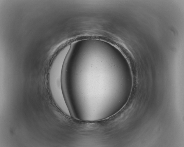 X0000114031304200910091426