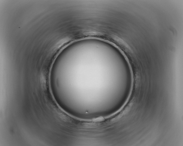 X0000114031305200910091426