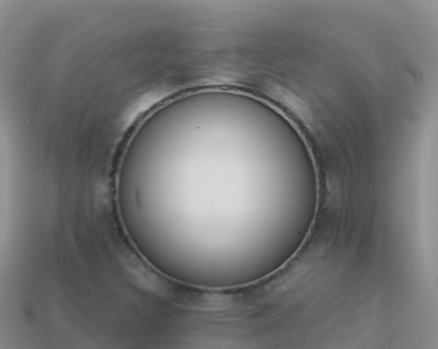 X0000114031308200910091426