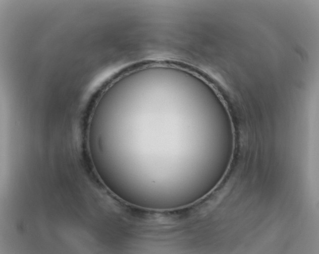 X0000114031311200910091426