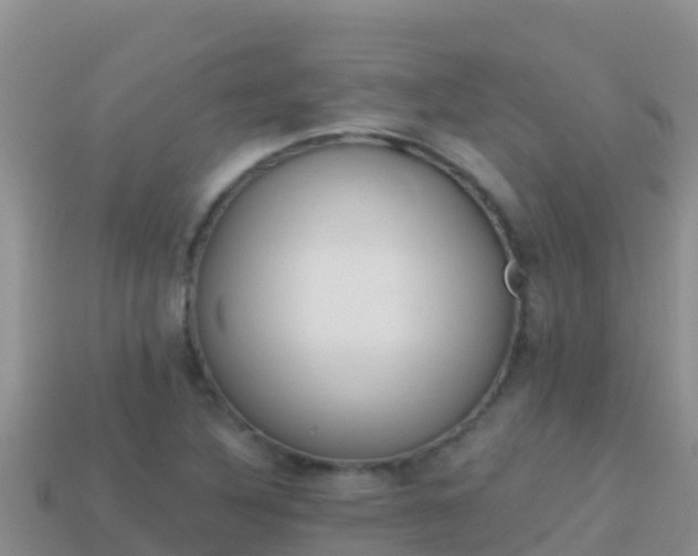 X0000114031316200910091426