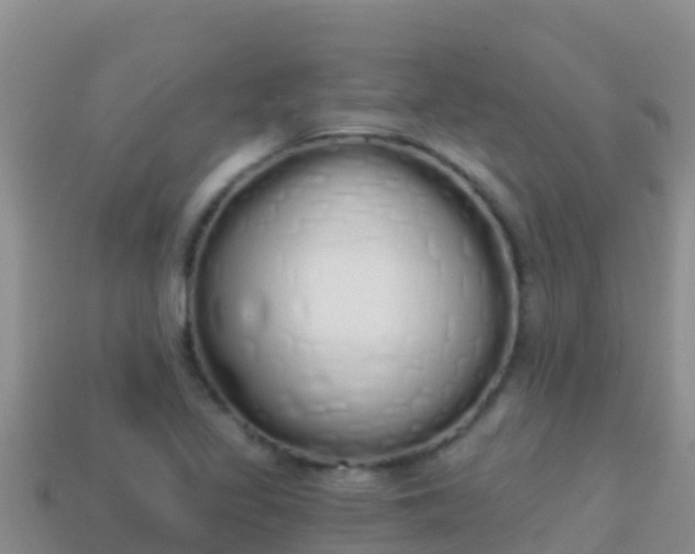 X0000114031317200910091426
