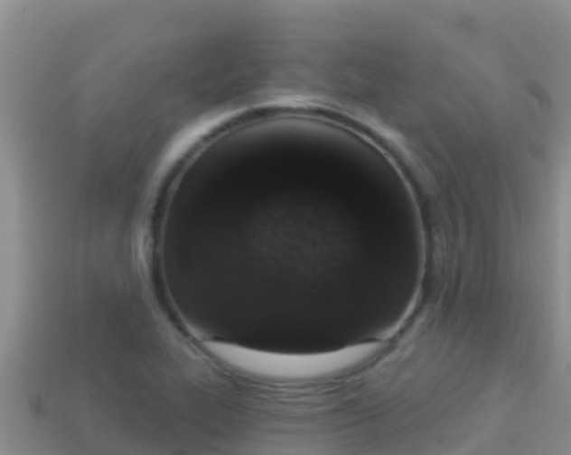 X0000114031319200910091426