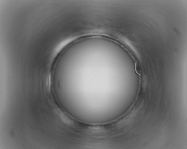 X0000114031320200910091426