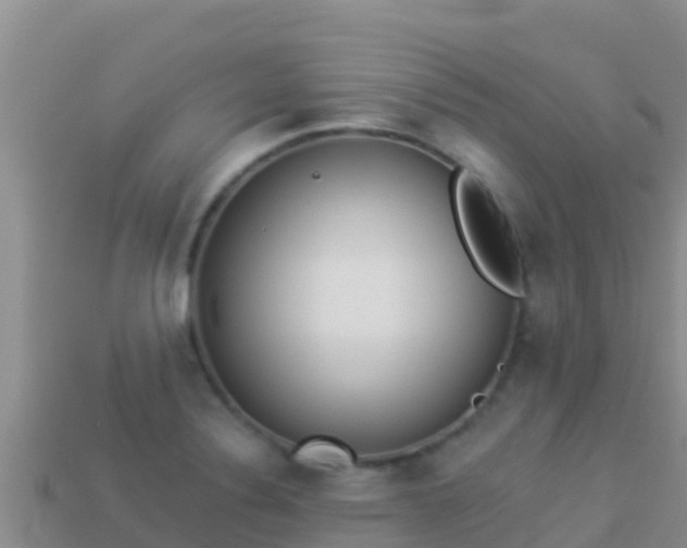 X0000114031324200910091426