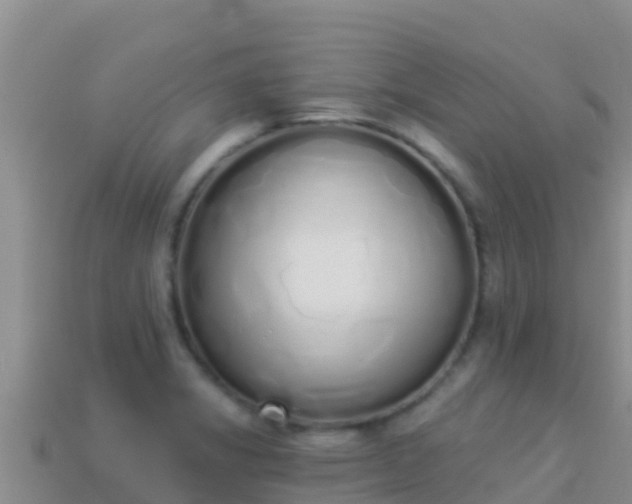 X0000114031325200910091426