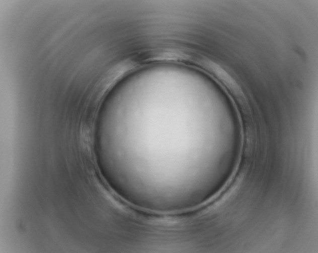 X0000114031329200910091426