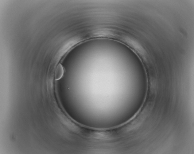 X0000114031330200910091426