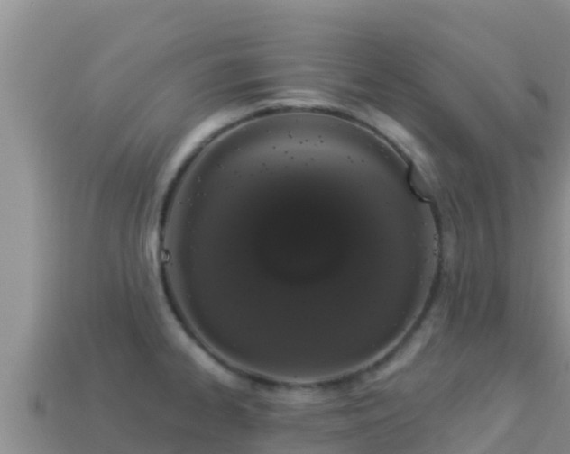 X0000114031334200910091426