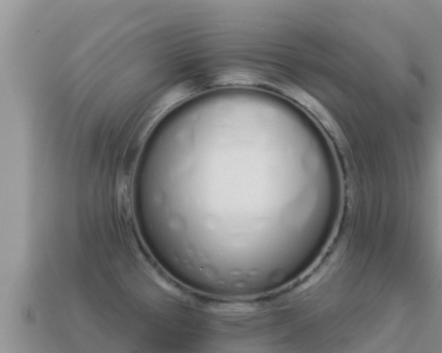 X0000114031337200910091426