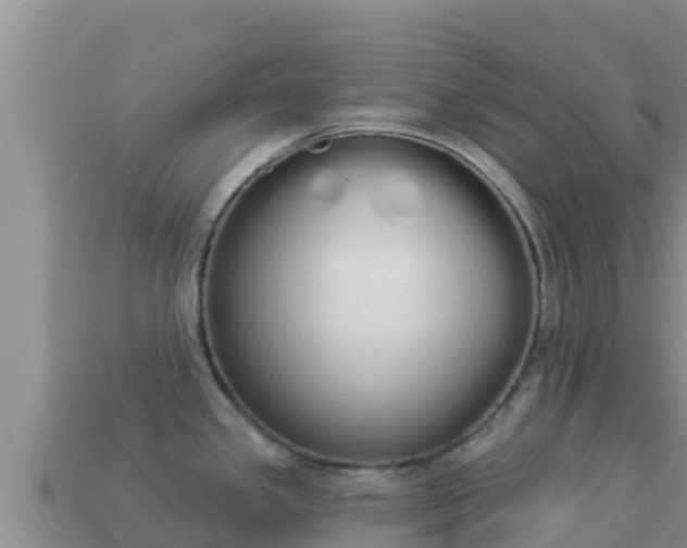 X0000114031341200910091426