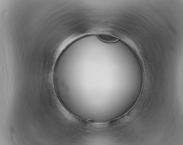 X0000114031344200910091426
