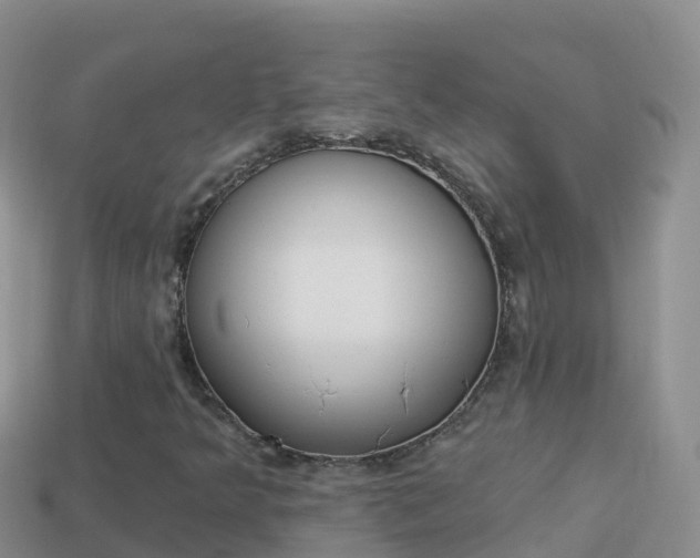 X0000114031349200910091426