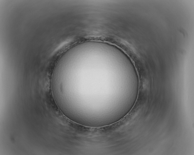 X0000114031350200910091426