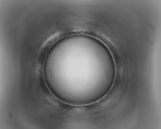 X0000114031351200910091426